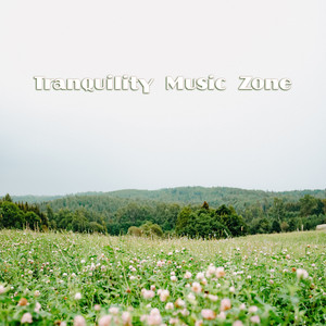 Tranquility Music Zone album