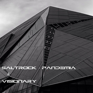 Saltrock & Visionary - Pandemia