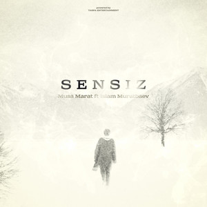 Sensiz