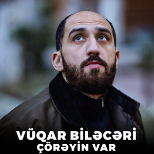Vüqar Biləcəri - Çörəyin Var