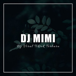 DJ Mimi poster