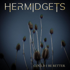 Could I Be Better by Hermidgets