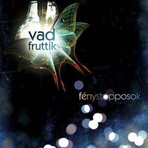 Vad Fruttik Photo