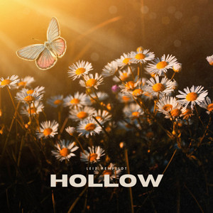 Hollow by Leiz Hemfeldt