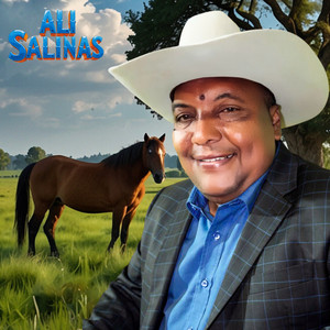 Allá en Mi Llano by Ali Salinas