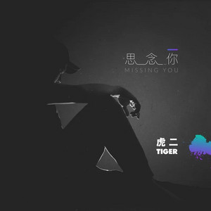 思念你 - 0.8降速版 by Tiger Wang