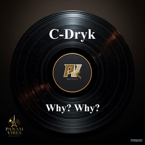 Why? Why? - Radio Edit by C-Dryk