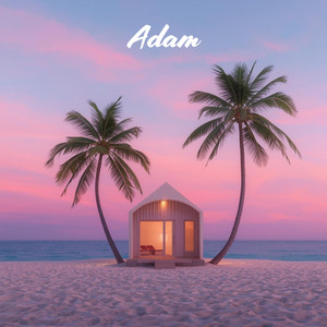 The Night We Met by Adam Wolfan