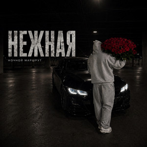 НЕЖНАЯ by Ночной Маршрут