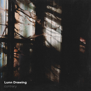 contrary by Lunn Drawing