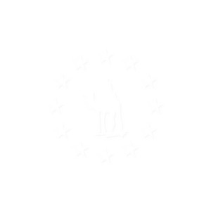 blue download - 144p