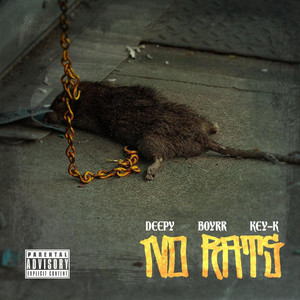 No Rats