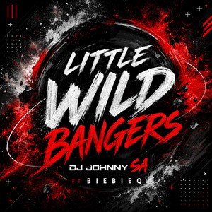 One Beat, One Heart by DJ Johnny SA, BieBieQ Lekker Beats