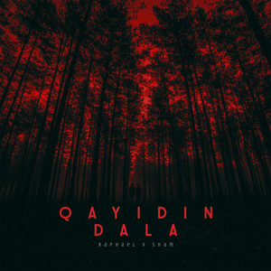 Qayıdın Dala (feat. Sham)