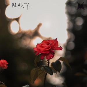Beauty...