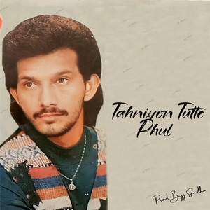 Tahniyon Tutte Phul - Instrumental by Bigg Sandhu