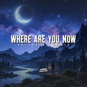 Where Are You Now Breakbeat by Whyn Fvnky Rmx