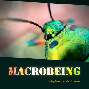 Macrobeing