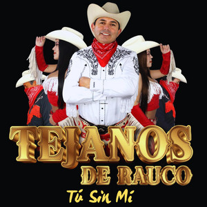 Tú Sin Mí by Tejanos de Rauco