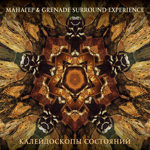 Каноны недоумения by Манагер, Grenade Surround Experience