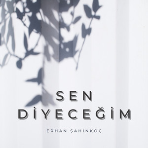 Sen Diyeceğim by Erhan Şahinkoç