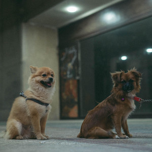 two by Tusmuedistro