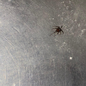 Horus - Mutant (feat. Jupy_teh)