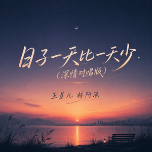 日子一天比一天少 - 深情对唱版 by 王星儿, 林阿浪