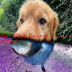 Moi C'est Encore Doug by Mohidi The Raccoon, Doug LeDoug, Fuze III