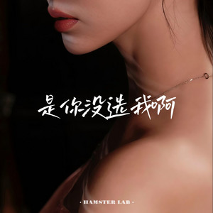 是你没选我啊 - 是我没等你吗 - R&B版 by DJ小仓鼠