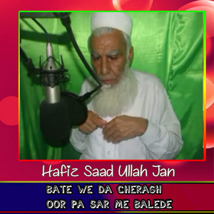 Hafiz Saad Ullah Jan - Laro Kuso Ke Ba Tableegh