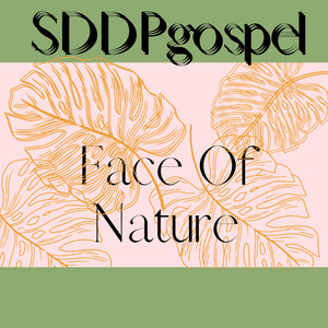 Face Of Nature by SDDPgospel