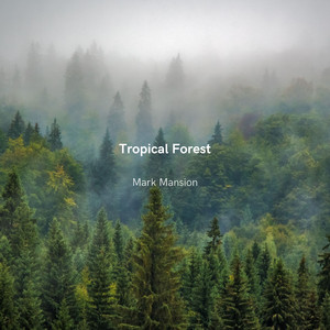 Tropical Forest - Radio Edit by Mark Mansion