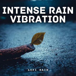 Lofi Rain: Intense Rain Vibration album