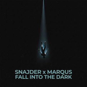 Fall Into The Dark - Radio by SNAJDER, MARQUS