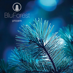 phloem by BluForest