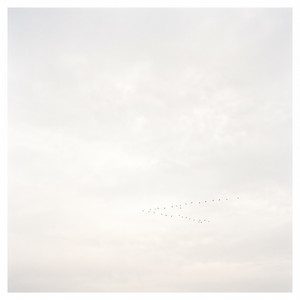 No Hurry by Arvelune