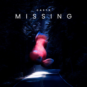 Missing by Casta