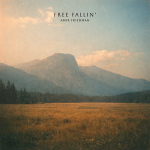 Free Fallin' by Amir Friedman