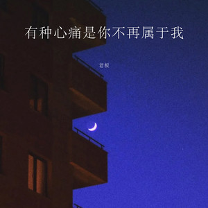 有种心痛是你不再属于我 by 老板