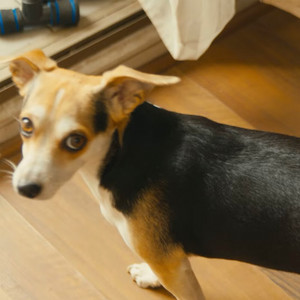 Ignacio Ruiz & Melora1n - Soñé Contigo