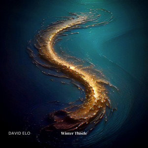 Winter Thistle by David Elo