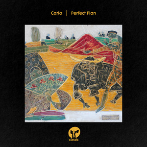 Portada de Perfect Plan