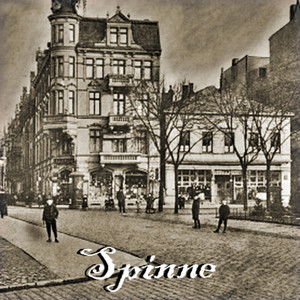 Spinne by Reka