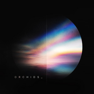 Orchids by Seb Gardner
