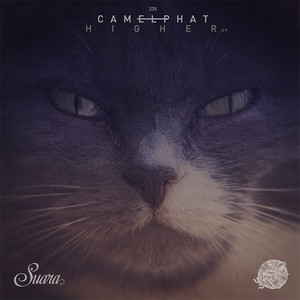 Raabta by Camelphat