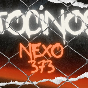 TOCINOS