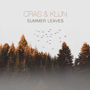 Summer Leaves by CRAS & KLiJN