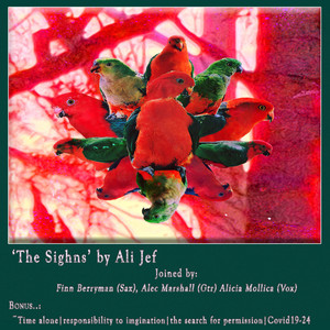 The Sighns (Single + Bonus!) — Ali Jef