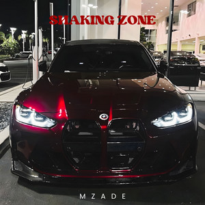 Shaking Zone — Mzade